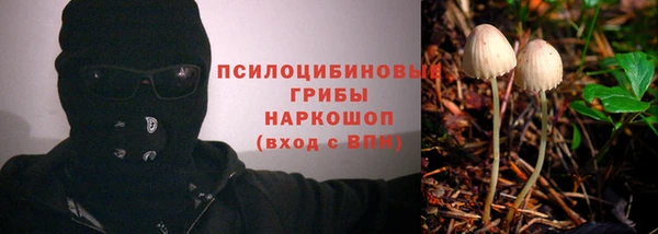 a pvp Каменногорск