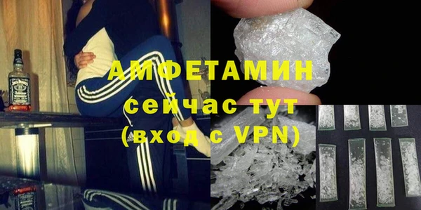 a pvp Каменногорск