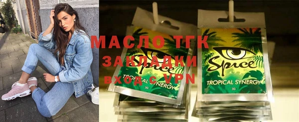 шишки Каменка