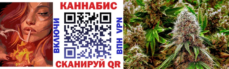 Купить где  Бирюсинск  Конопля SATIVA & INDICA 